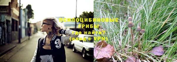 молекула духа Новодвинск