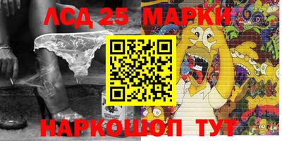 apvp Кимры