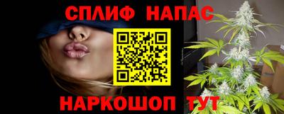 apvp Кимры
