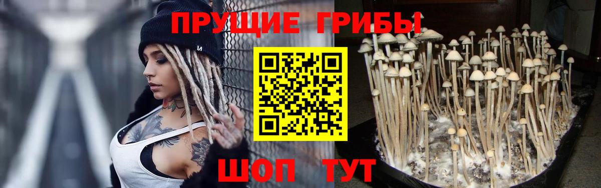 Галлюциногенные грибы прущие грибы Нижнеудинск