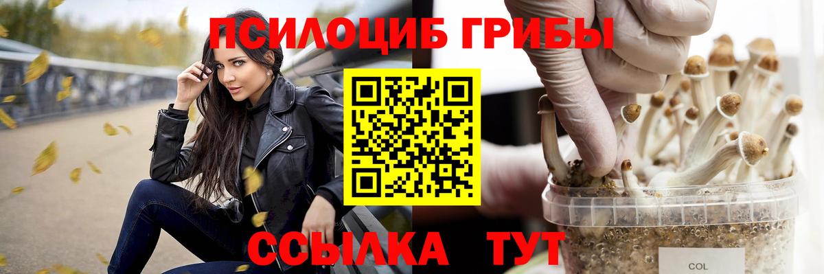 Нижнеудинск  Псилоцибиновые грибы прущие грибы  Галлюциногенные грибы мухоморы  Вход с VPN 