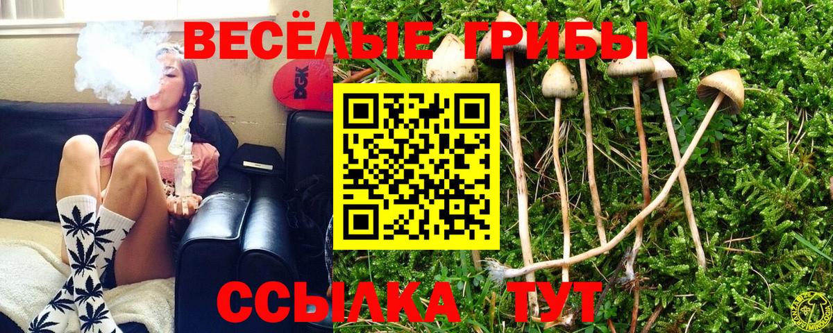 Как найти закладки?  Мед  Нижнеудинск  MDMA  Хэш  Мефедрон  Каннабис  Вход с VPN  A PVP  COCAIN  Канабис 